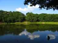 Карло-Марксове з panoramio.com