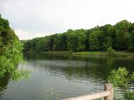 Диканька - Останні фото