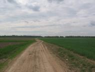 Новоселівка з panoramio.com