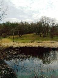 Lysychanskyy - Latest photos