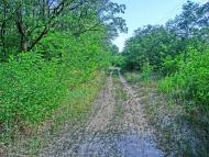 Пустельникове - Останні фото