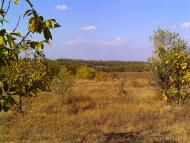 Піски з panoramio.com