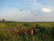 Степне з panoramio.com