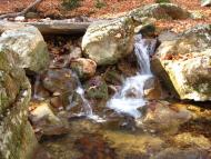 Чайковське з panoramio.com (ч.2)