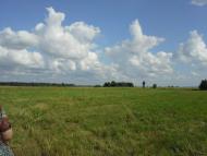 Вирка - Останні фото