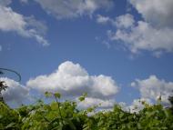 Городок з panoramio.com