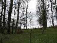 Лопушанка з panoramio.com