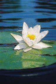 Новоугрузьке з panoramio.com