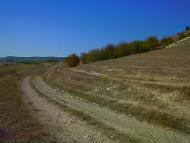 Холмівка - Останні фото