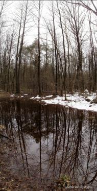 Крать з panoramio.com