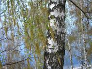 Фастів з panoramio.com (ч.2)