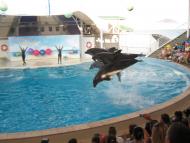 Коктебель з panoramio.com (ч.3)