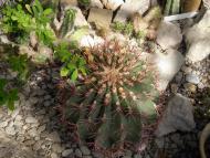 Нікіта з panoramio.com (ч.2)