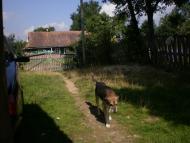 Дністрик-Дубовий - Останні фото