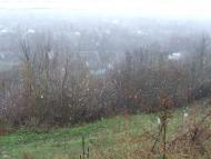 Мазурівка - Останні фото