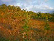 Богатир з panoramio.com