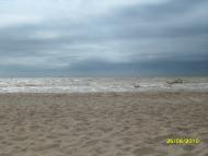 Мелекино - Последние фото