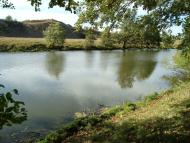 Думенки - Останні фото