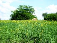 Попасне з panoramio.com