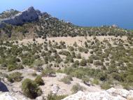 Новий Світ з panoramio.com (ч.4)