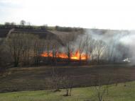 Мала Помічна з panoramio.com