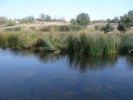 Синюхин Брод - Последние фото