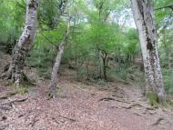 Генеральське з panoramio.com (ч.3)