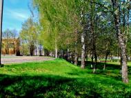 Гудзівка з panoramio.com