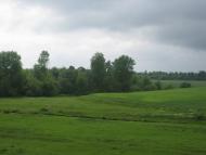 Черепашинці з panoramio.com