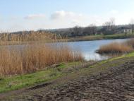 Вікторівка - Останні фото