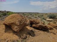 Жовтокам'янка з panoramio.com