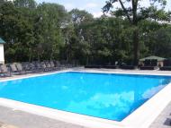 Гайдари - Останні фото