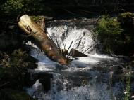 Лисичово з panoramio.com