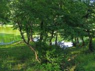 Карло-Марксове з panoramio.com