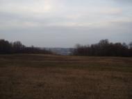 Чорнухи з panoramio.com