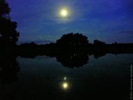 Кролевець з panoramio.com