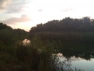 Новоамвросіївське з panoramio.com