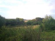 Новоамвросіївське з panoramio.com