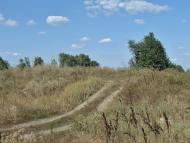 Цупки з panoramio.com - Цупки