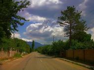 Golubynka - Latest photos