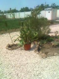 Медведеве - Останні фото