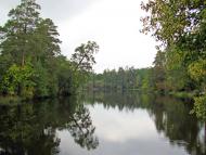 Горенка з panoramio.com