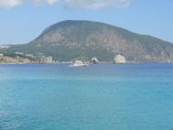 Польове - Останні фото