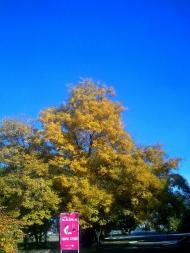 Цюрупинськ з panoramio.com (ч.2)