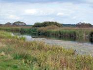 Доротище з panoramio.com