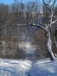 Кулиничі з panoramio.com