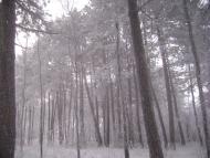 Научний з panoramio.com