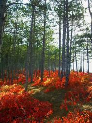 Бахчисарай з panoramio.com (ч.5)