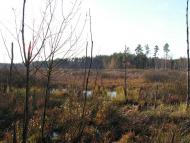 Кошари з panoramio.com