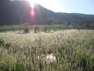 Говерла з panoramio.com (ч.2)